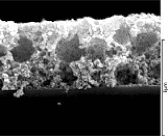 Publication featured image
