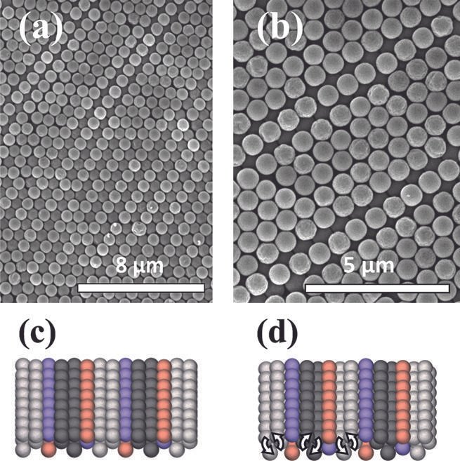 Research publication featured image
