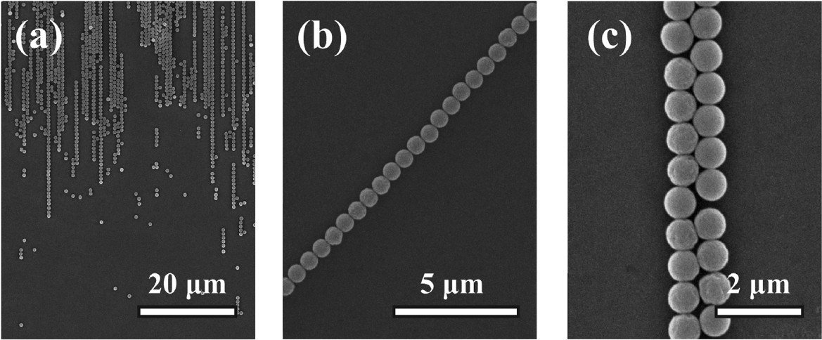 Complete Figure 2 SEM composition showing parallel particle rows, a linear row and a two-row strip