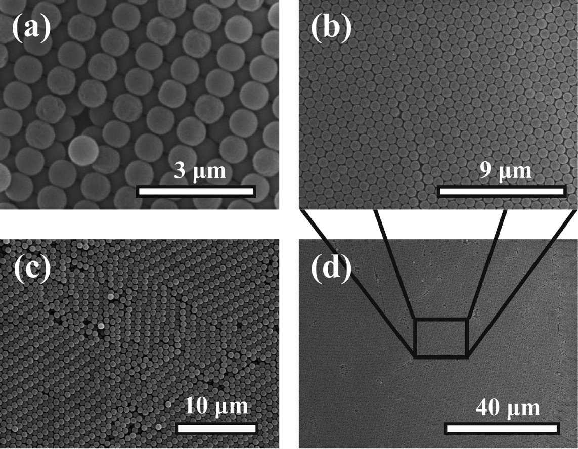 Complete Figure 5 SEM composition showing large colloidal particles ordered on the corrugated template
