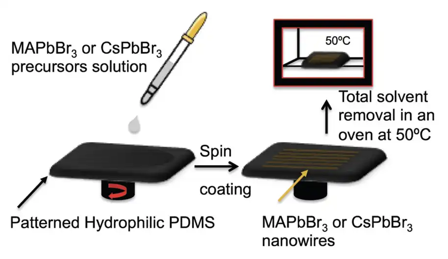 Preparation procedure of the MAPbBr3 and CsPbBr3 nanowires in the grooves of hydrophilized PDMS templates obtained by eplication of the CD or DVD profiles.