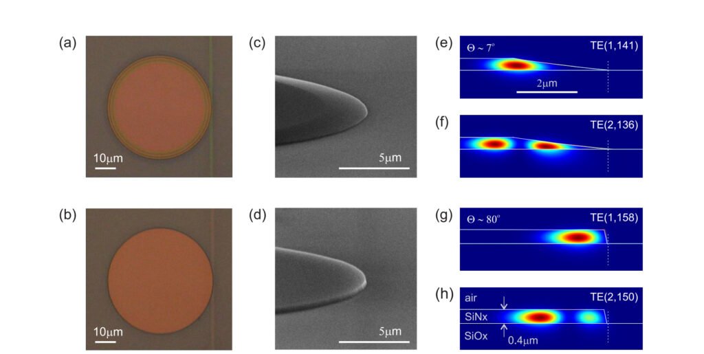 Featured publication image
