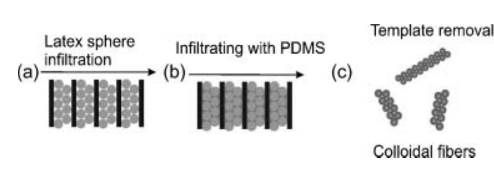 Scheme showing latex-sphere infiltration, PDMS infiltration and template removal to obtain colloidal crystal wires