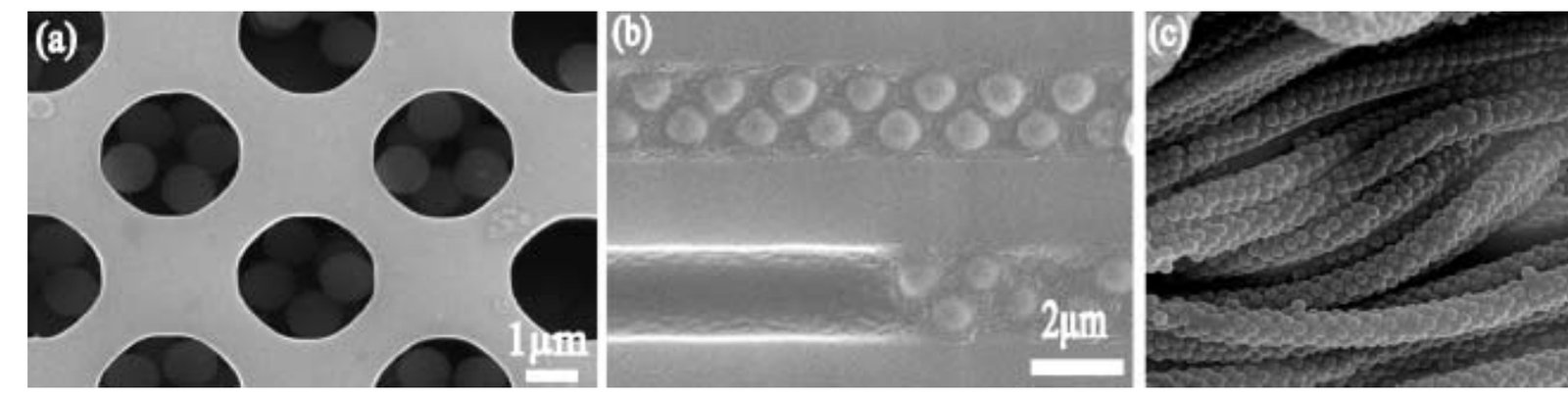 Research publication featured image