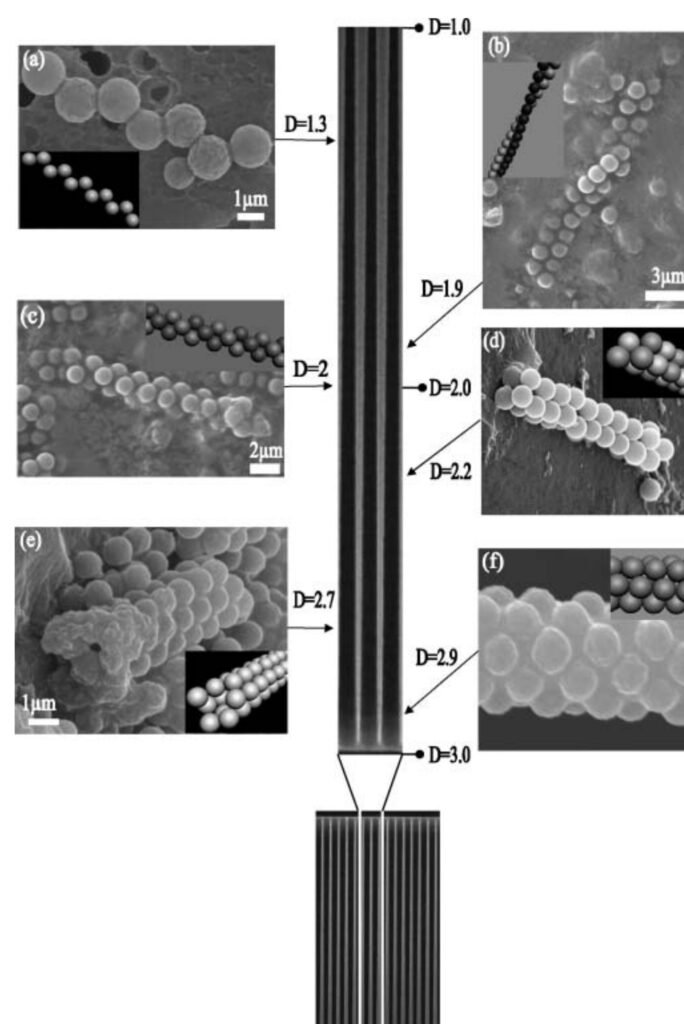 Featured publication image