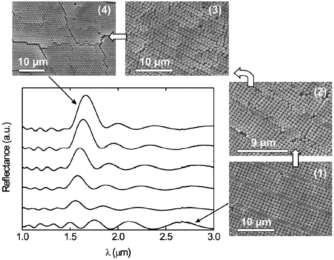 Research publication featured image
