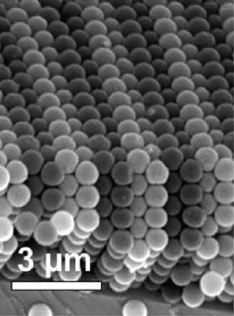 Featured publication image