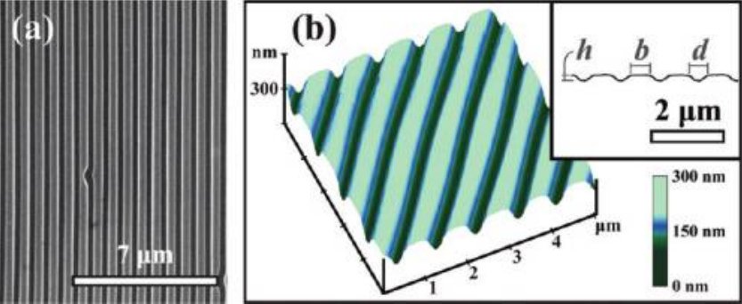 Figure 1. SEM image of a DVD-type template and AFM image of the corrugated surface with its profile parameters.