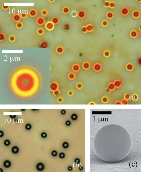 Publication featured image