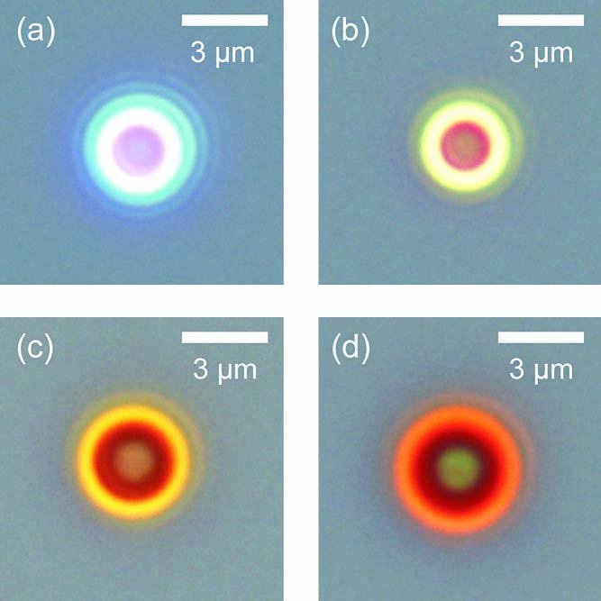 Publication featured image