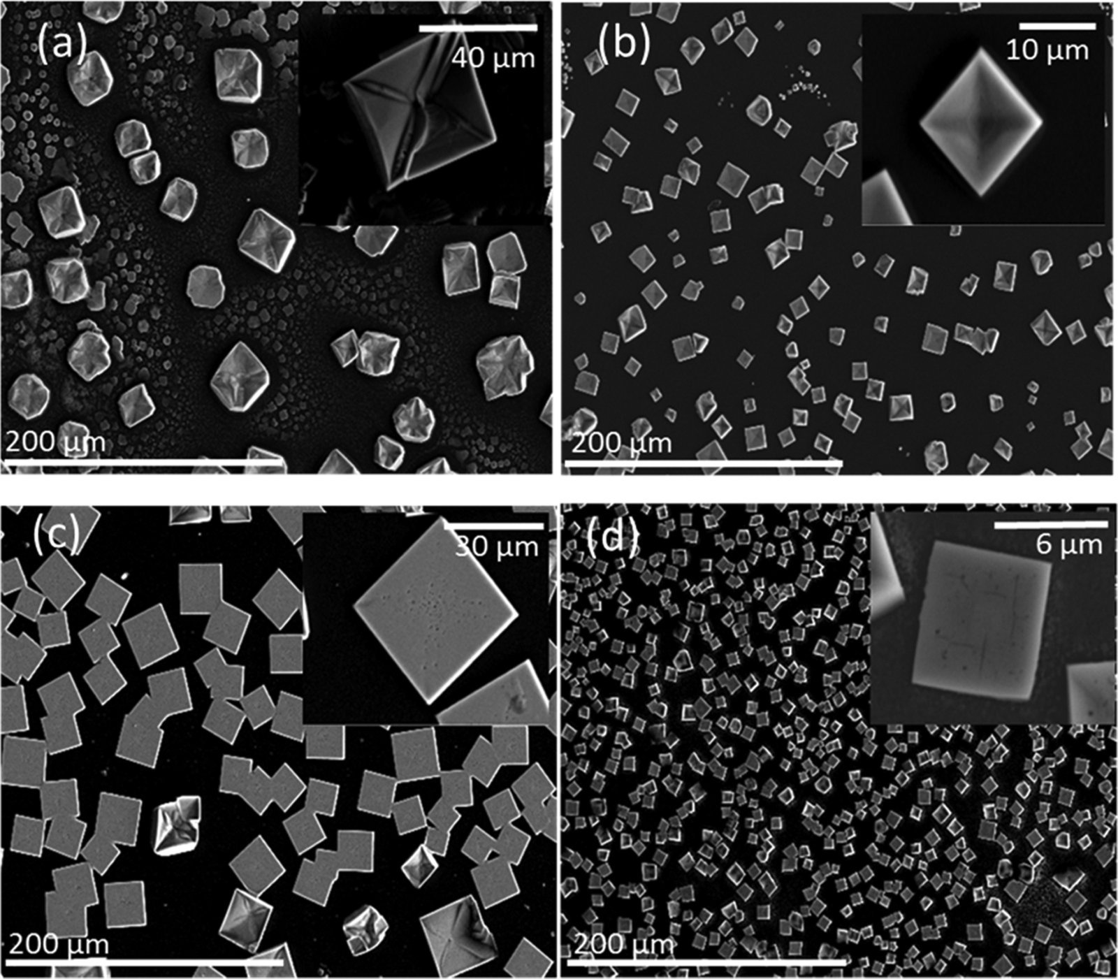 Publication featured image