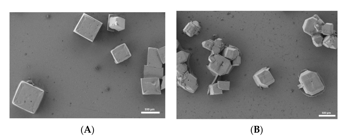 Figure 3. FESEM images of crystalline 3D and 2D–3D perovskites.