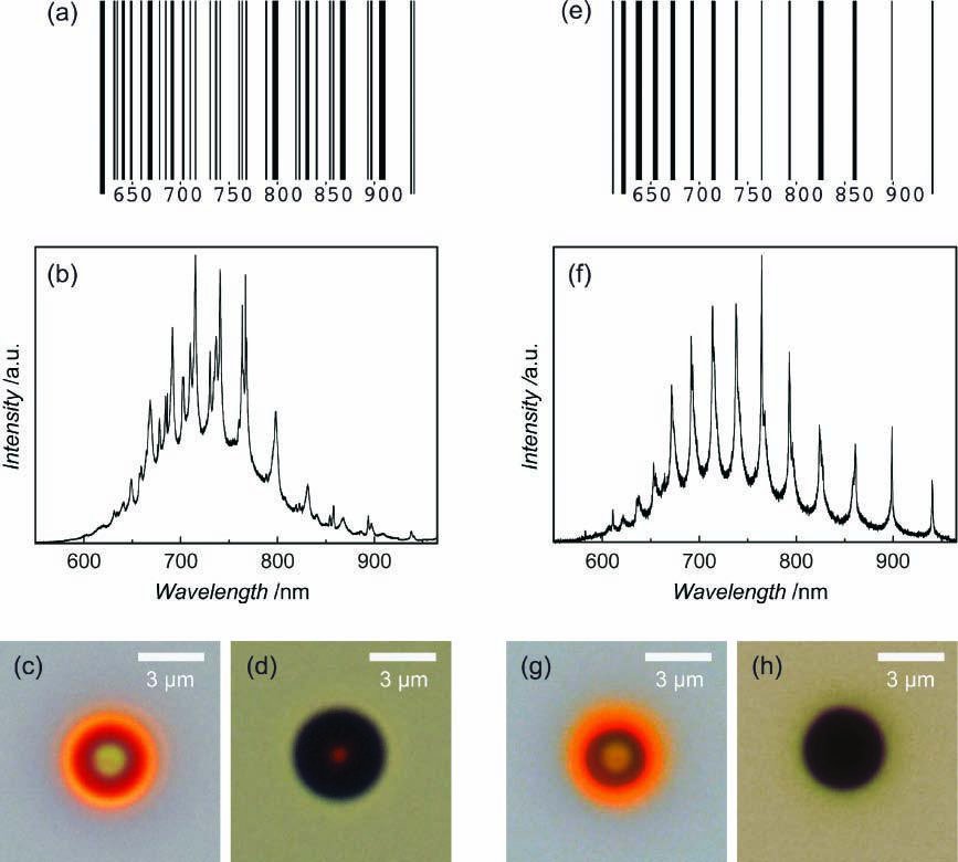 Two photonic barcodes with photoluminescence spectra and optical microscopy images of porous silicon microspheres