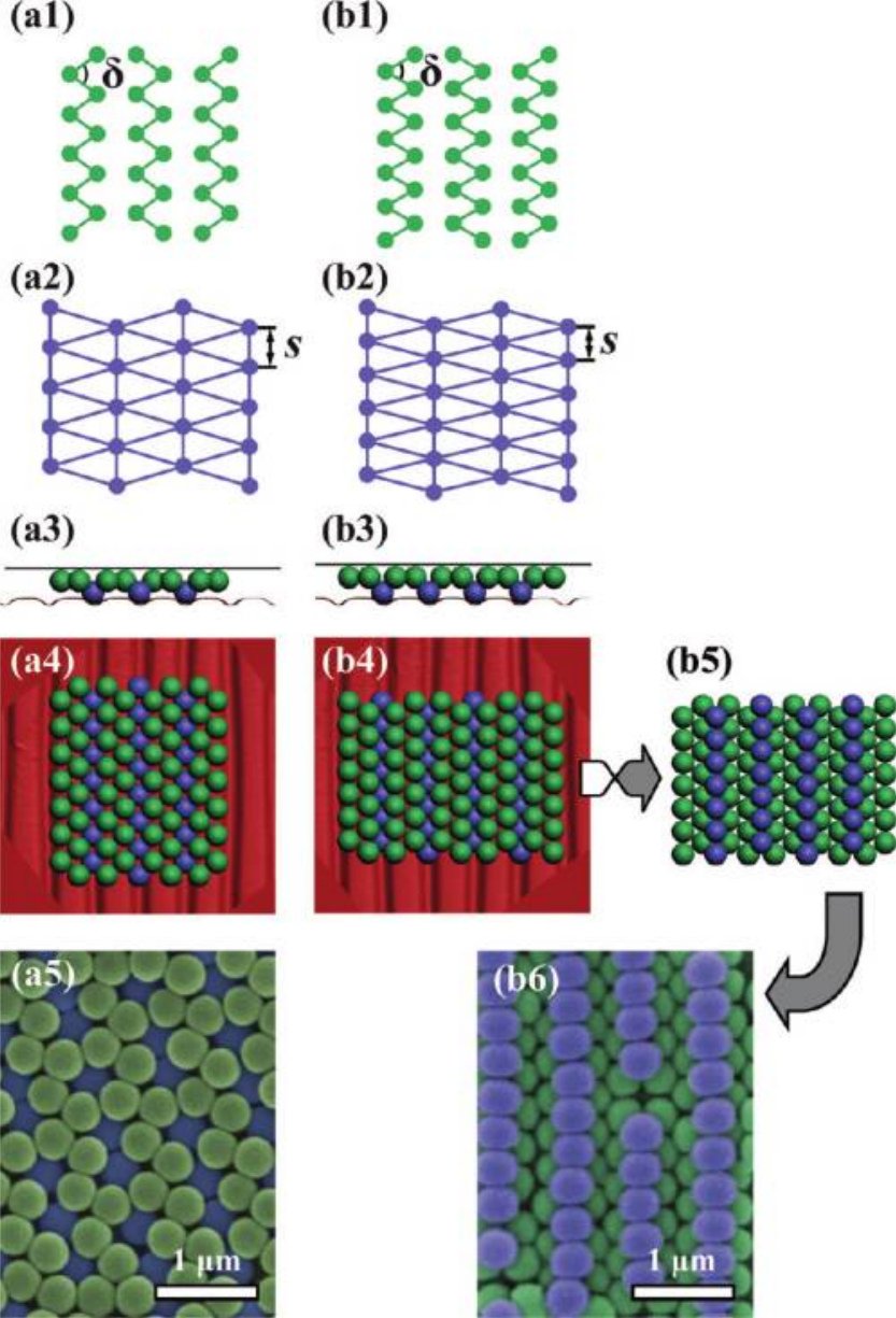 Figure 4. SEM images, schemes and complementary views of particle-ordering models.