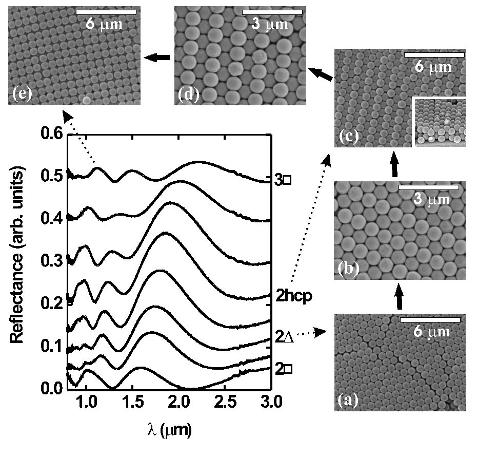 Research publication featured image