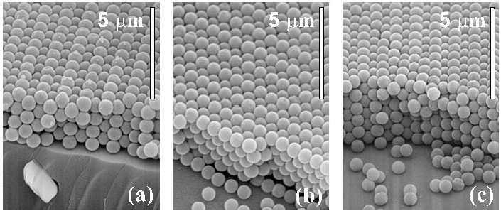 Featured publication image