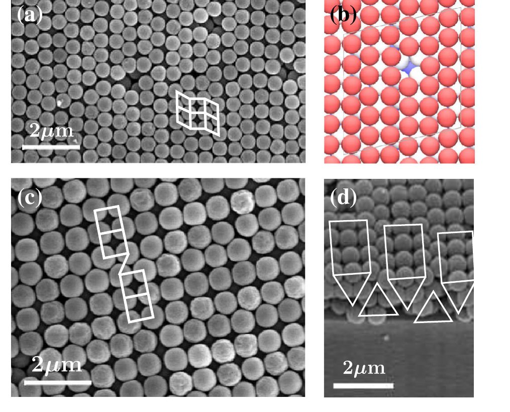 Research publication featured image