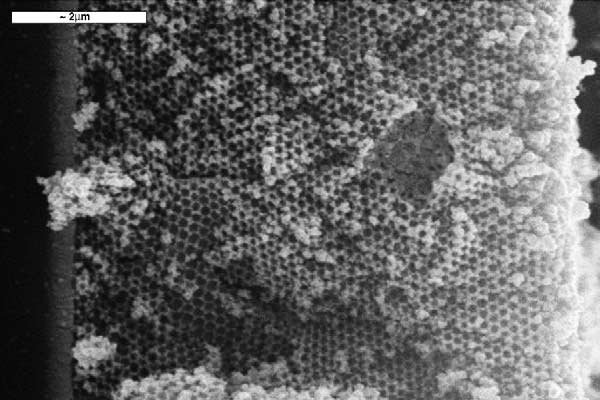 Publication featured image