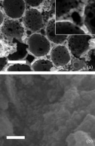 Publication featured image