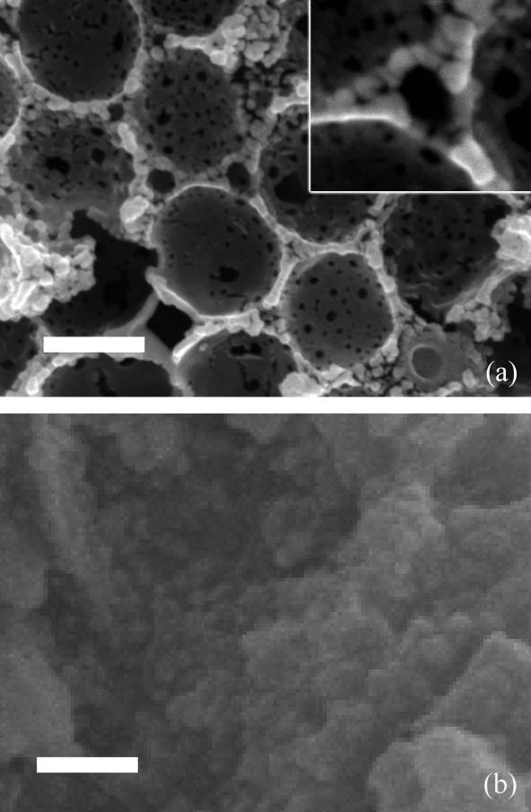 Publication featured image