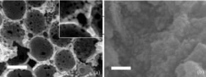 Publication featured image