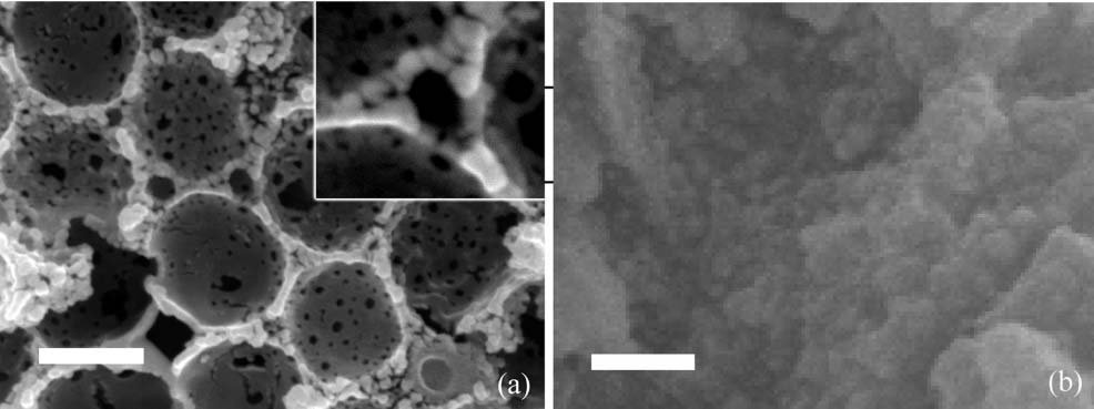 Publication featured image