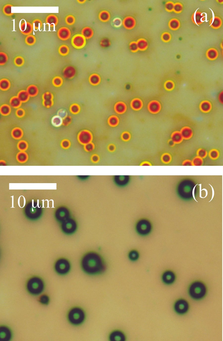 Publication featured image