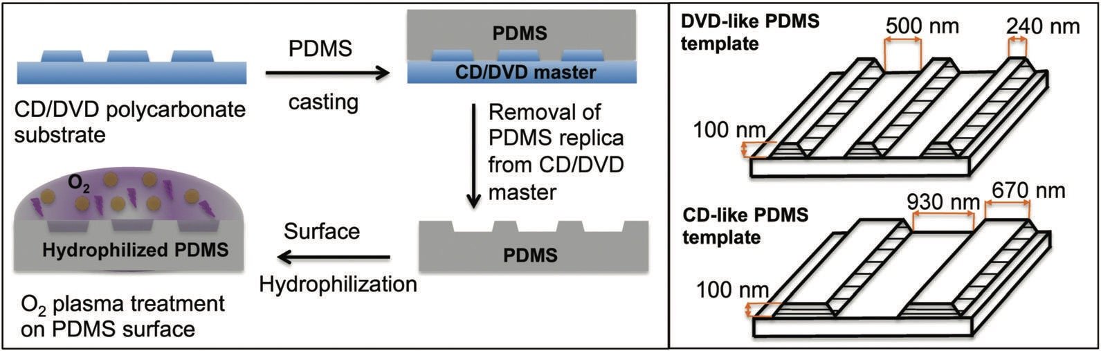 Figure 1 from Groove-Assisted Solution Growth of Lead Bromide Perovskite Aligned Nanowires