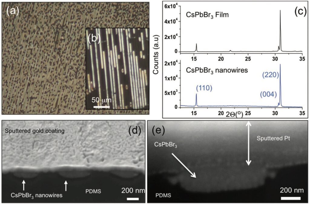 Featured publication image