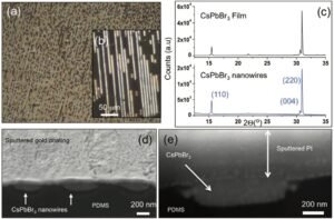 Publication featured image