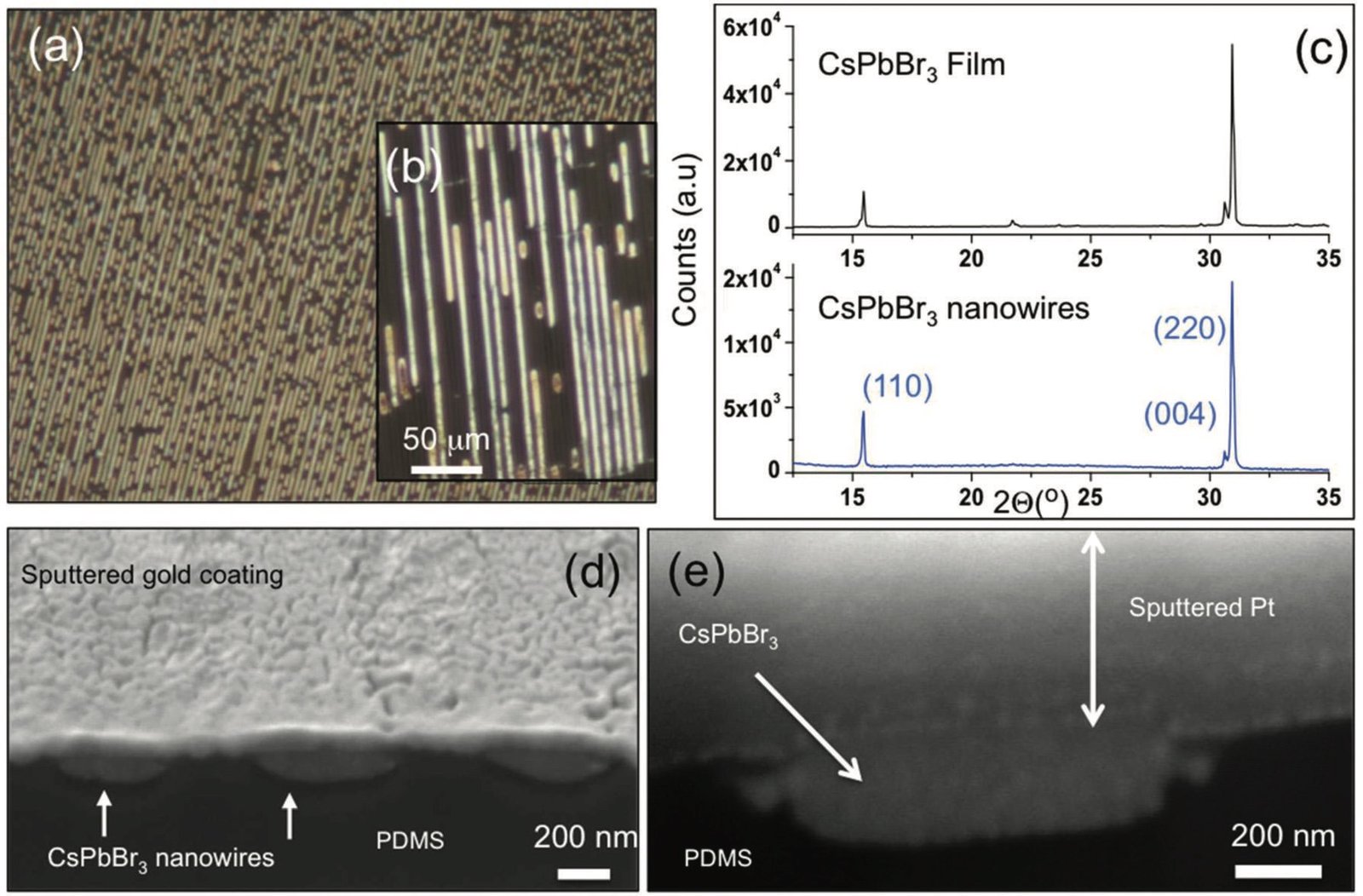 Publication featured image